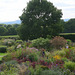 Lovely garden with a view of the South Downs