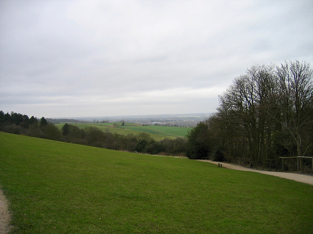 View northward from Hartsill Hayes Counrty Park