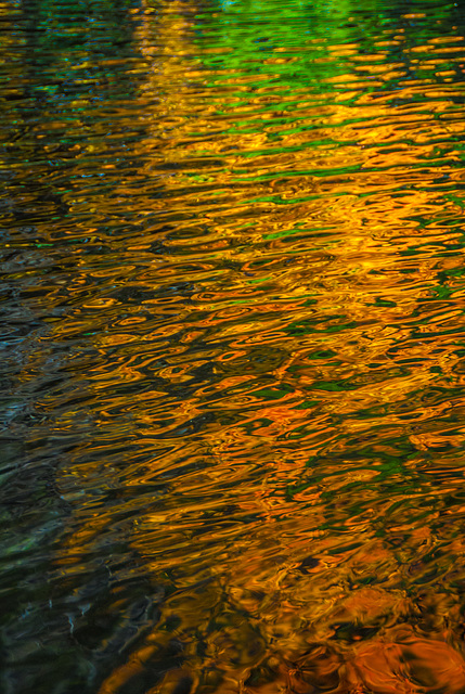 Autumn Reflections 7