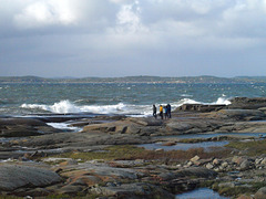 Moutmarka, fresh breeze with shoreline walkers