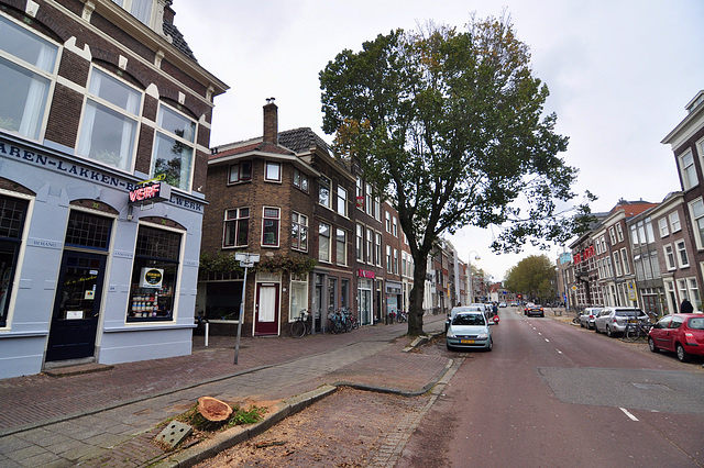 Leiden – Hooigracht