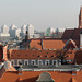 Wroclaw vu de l'Université (4)