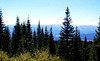 View Across Mount Shasta