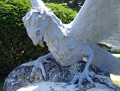 Detail of the Griffon at Casa Basso, July 2011