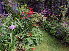 “To plant a garden is to believe in tomorrow.” – Audrey Hepburn