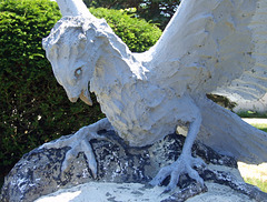 Detail of the Griffon at Casa Basso, July 2011