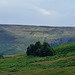 Pennine Way at Torside from Crowden