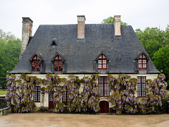 Châteaux Chenonceau
