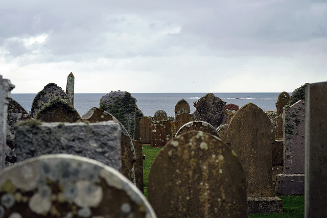 sea-facing headstones at Skaill, cemetary of Deerness, Orkney Main