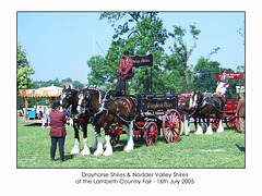 Drayhorse Shires & Nadder Valley Shires Lambeth C Fair 16 7 05
