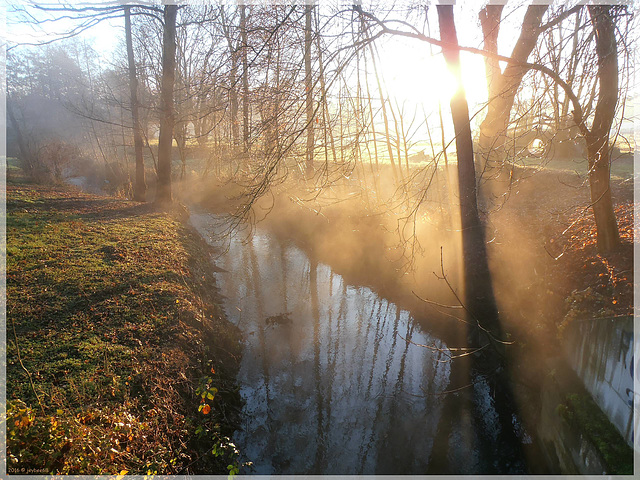 Nebel in der Morgensonne / Mist in the morning sun