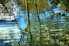 Surface Patterns and Reflections