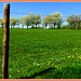 18 april Fence  a  better  spring