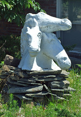 Horse Heads at Casa Basso, July 2011