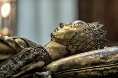 Les tombeaux des ducs de Bourgogne:  Marie de Bourgogne