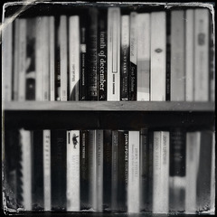 Tintype Bookshelf
