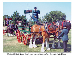 Mouland & Hook Norton shires LC Fair 2005 close up