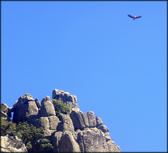 Griffon Vulture, blue sky, rock window and granite