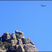 Griffon Vulture, blue sky, rock window and granite
