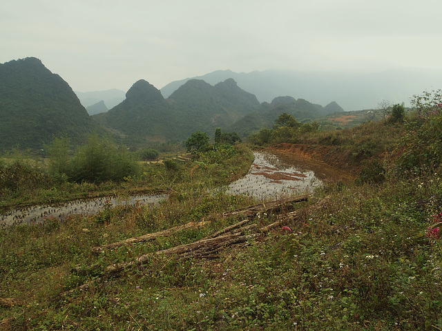 Haut plateaux Vietnam (22)