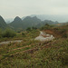 Haut plateaux Vietnam (22)