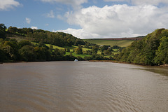 On The River Dart