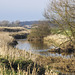 River Idle near Lound, Nottinghamshire