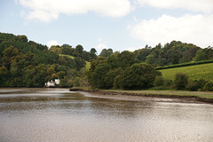 On The River Dart