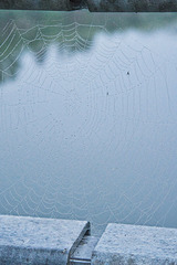 O, what a tangled web