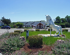 The Horse and Casa Basso Restaurant, July 2011