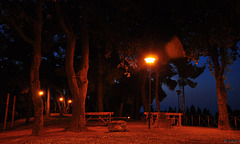 Parco dei Pini by night (© Buelipix)