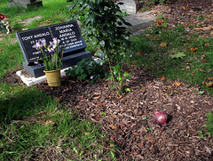 Grave with Rosebush & Onion
