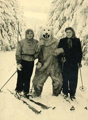 Skiers Posing with a Polar Bear