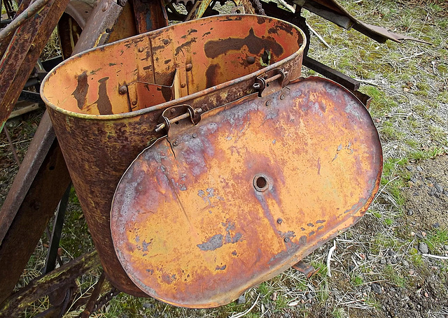Rusty bucket