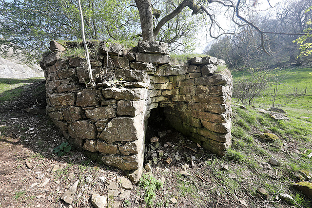 Bryn-yr-ardd kiln