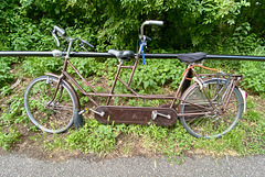 Gazelle tandem bicycle