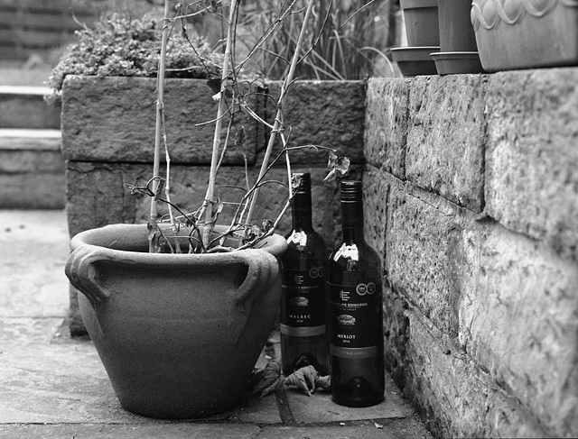 Garden corner with wine bottles