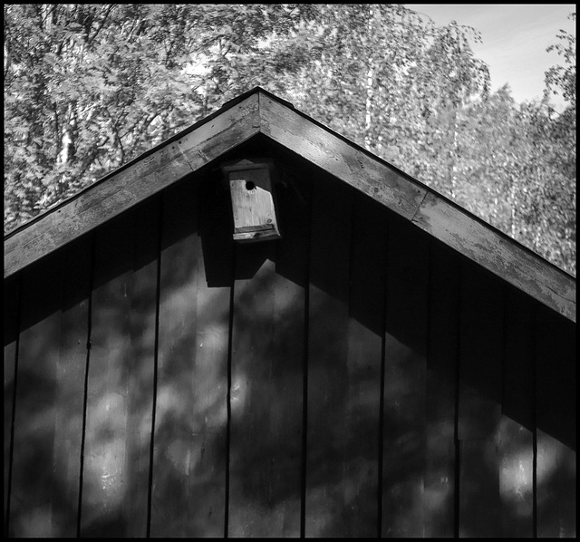 bird house under roof (pip)