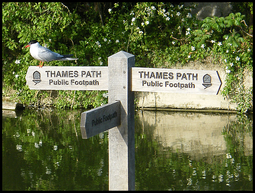 Thames Path sign