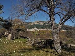 San Lorenzo de El Escorial from the Herrería Woods.