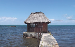Cabane de plage / Beach shack
