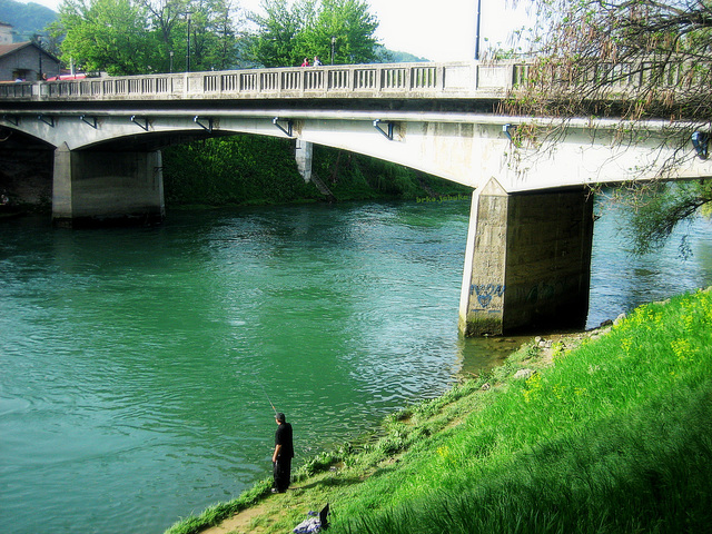 Bridge over the green river