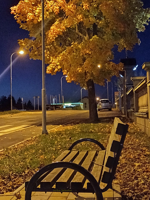 Bench in the night