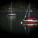 Sailboats on Kootenay Lake