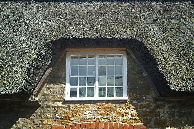 Thatch Window