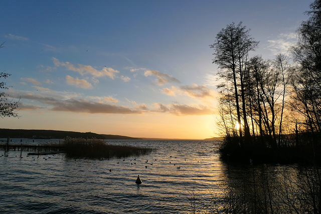 Sonniger Nachmittag...