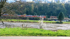 Das Elbtal mit kleinem Hochwasser und S-Bahn April 2023