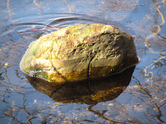 Stein im Wasser