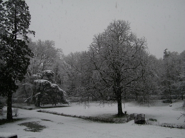 Le parc sous la neige ce matin...