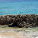 Lavafelsen vom Wasser zerfressen auf der Insel Poro Santo
